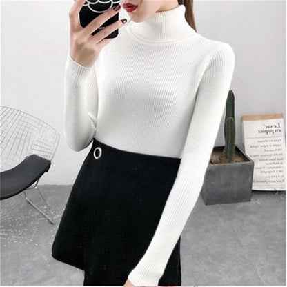 High neck long sleeve knit top