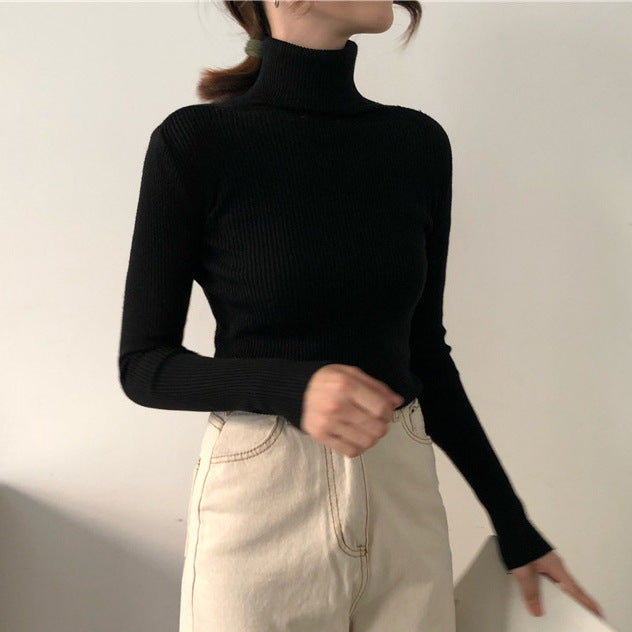 High neck long sleeve knit top